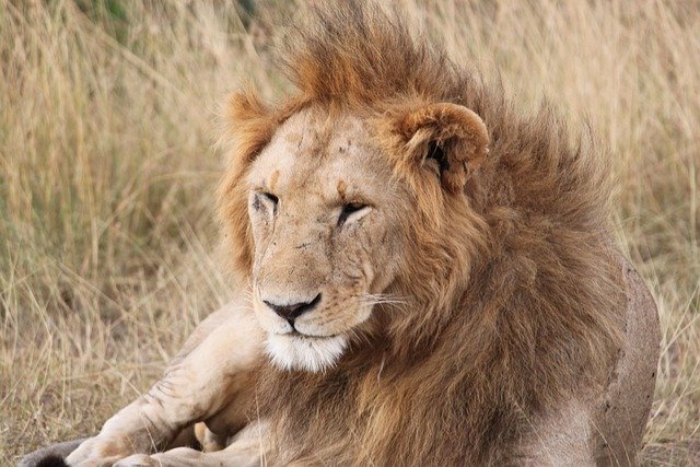Lake Manyara National Park