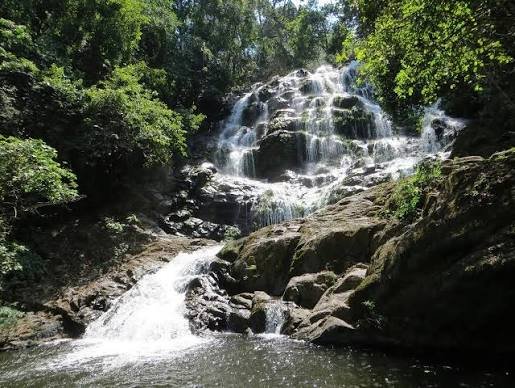 Udzungwa Mountains National Park Tours
