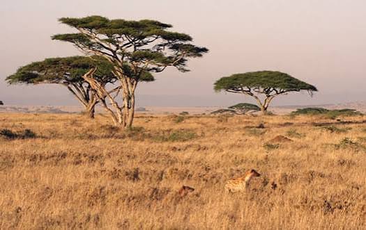 2-Day Katavi National Park Package