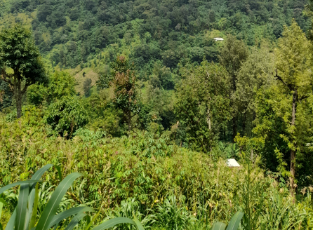 Materuni Village Experience