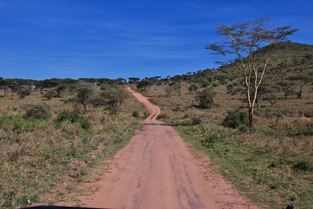 Lake Manyara – Ngorongoro Crater – Lake Eyasi Safari