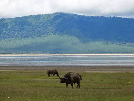 Serengeti – Ngorongoro Crater – Lake Eyasi Safari