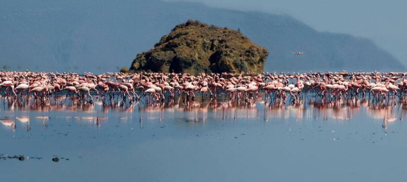 Serengeti – Ngorongoro Crater – Lake Natron Safari