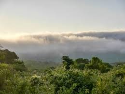 Arusha - Lake Manyara - Ngorongoro - Olduvai George Safaris