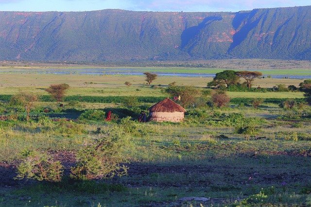 Serengeti - Ngorongoro - Tarangire Safaris