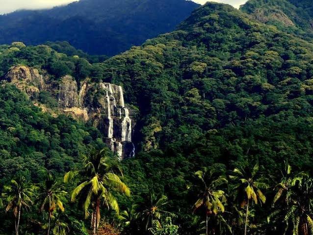 Nyerere National Park – Udzungwa Mountains Safari