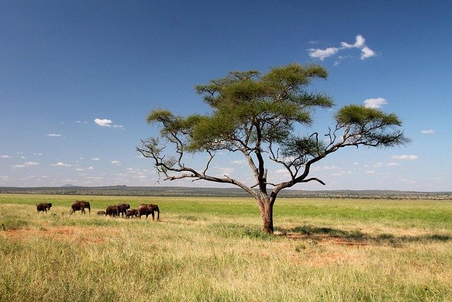 Ngorongoro Crater – Serengeti – Lake Natron Safari