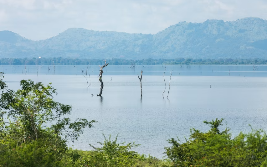The best 10-Day Northern Tanzania Classic Safari