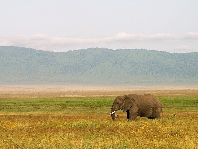 Is Ngorongoro Crater Worth Visiting?