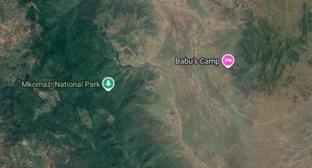 Where Is Mkomazi National Park?