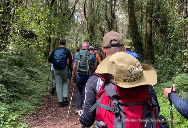 Umbwe Route vs Machame Route — Which Kilimanjaro Route Should You Choose?