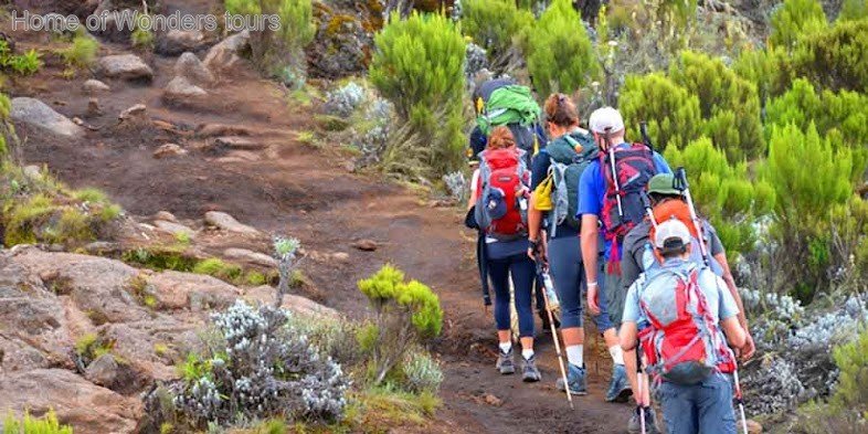 Umbwe route trekking adventures