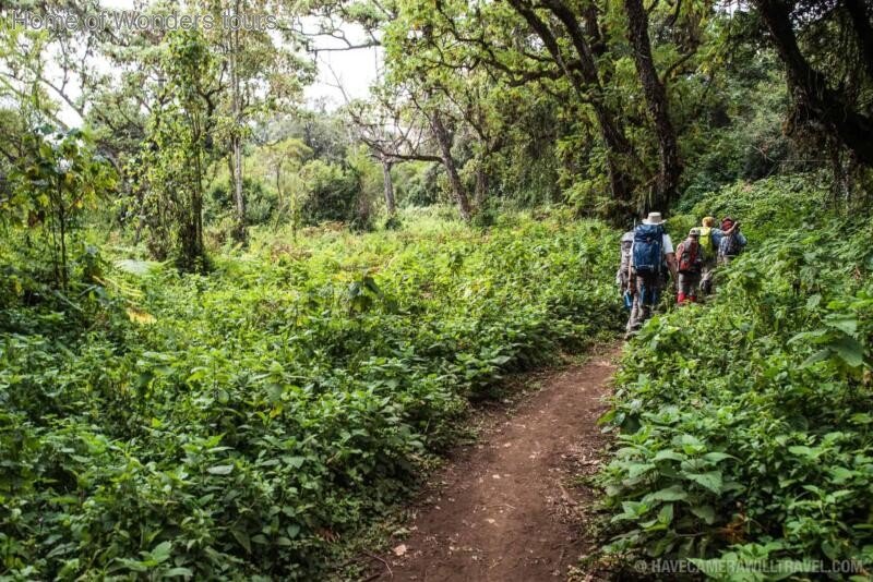 6 Days Umbwe Route — Kilimanjaro